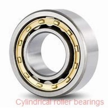 65 mm x 120 mm x 38,1 mm  ISO NU3213 cylindrical roller bearings