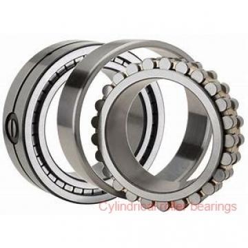 60 mm x 130 mm x 31 mm  NSK NUP 312 cylindrical roller bearings